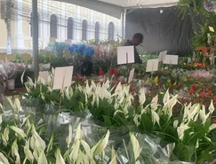 WhatsApp Image 2026-04-14 at 13.26.32.jpeg 