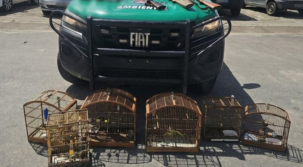 3cc6e67b-8b96-4df4-b5b0-18f9669925fa-1