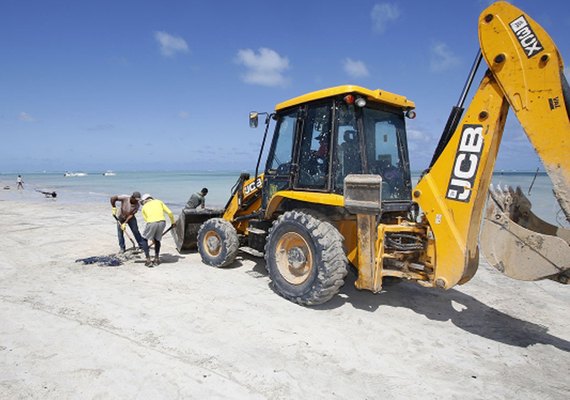 Nota técnica GTA: Situação do óleo nas praias de Alagoas nesta sexta-feira (18)