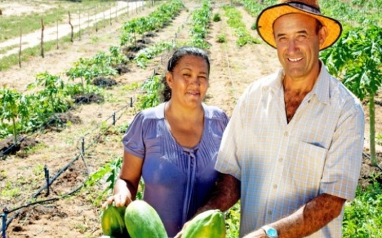 IICA: curso para agricultor vai discutir pandemia e oportunidades de superação