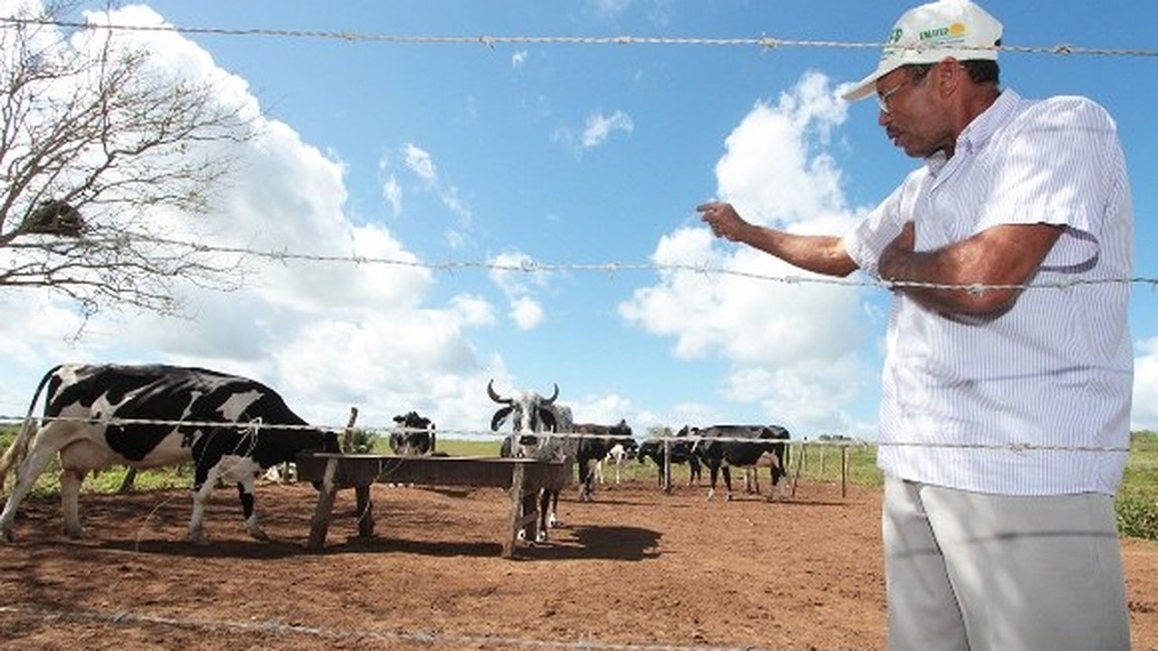 Produtores leiteiros comemoram melhoria da qualidade e estrutura