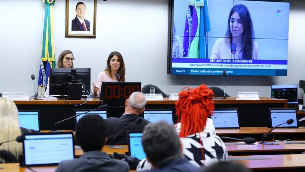 Comissão especial debate definição do conceito de violência obstétrica
