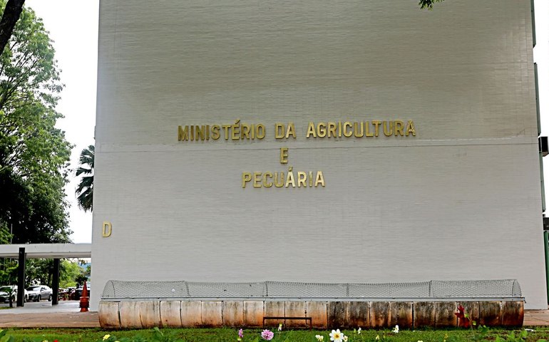 Ministério da Pesca nega existência de acordo para importação de tilápia do Vietnã