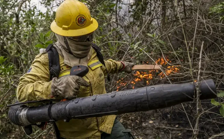 Quem era o brigadista que morreu enquanto combatia incêndio em MT