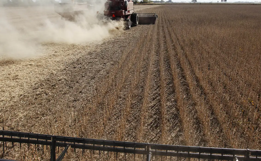 Importação de máquinas agrícolas e de construção triplica em 4 anos e preocupa indústria