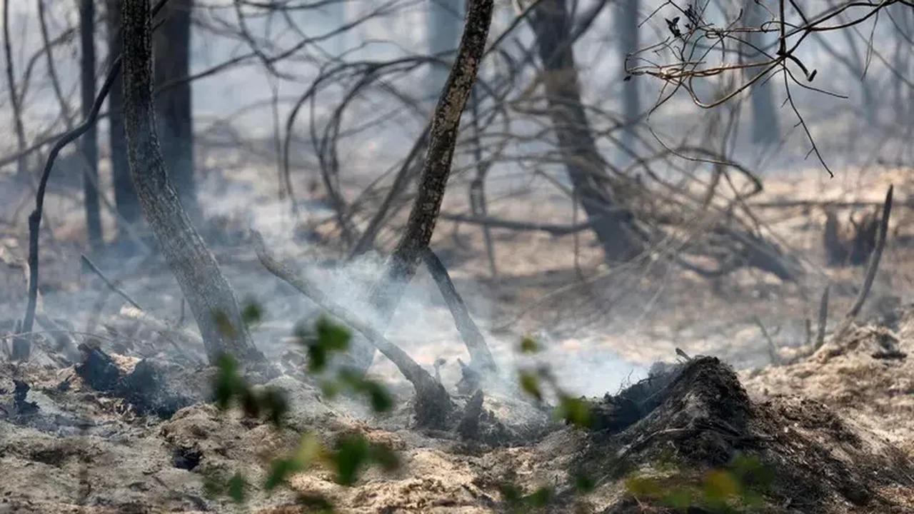 Incêndios florestais provocam evacuação em massa na França e Espanha