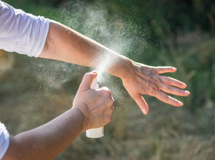 Alagoas soma mais de 1 mil casos de leishmaniose; saiba como prevenir