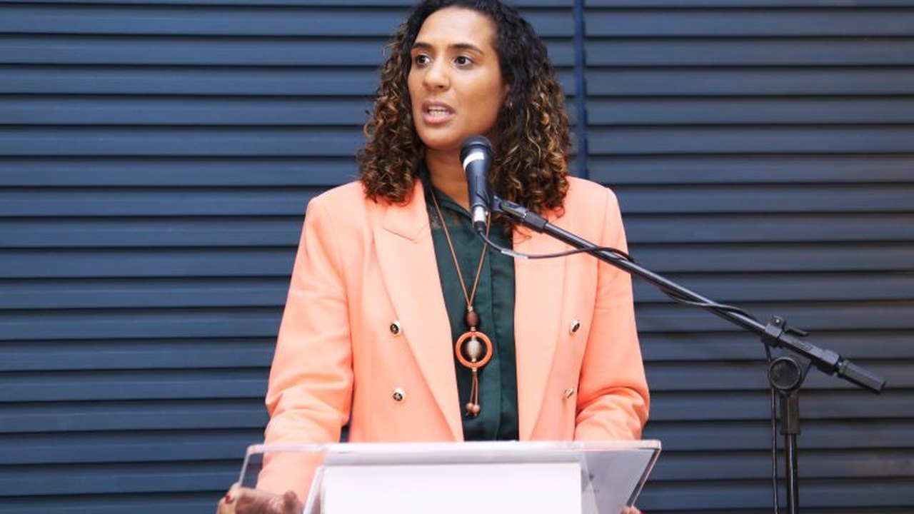 Comissão ouve ministra da Igualdade Racial sobre prioridades da pasta