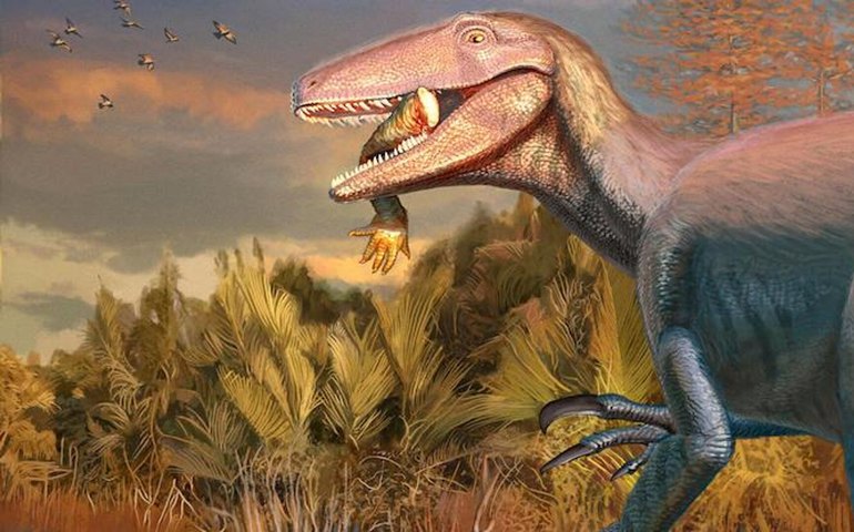 Descoberto novo megaraptor na Argentina: fóssil sugere que espécie devorava crocodilos (FOTO)