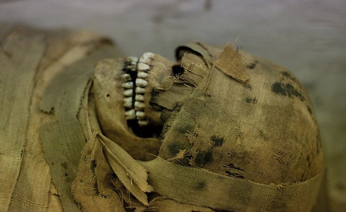 Estudo revela método único de mumificação que preservou corpo por 300 anos (FOTOS) Estudo revela método único de mumificação que preservou corpo por 300 anos (FOTOS)