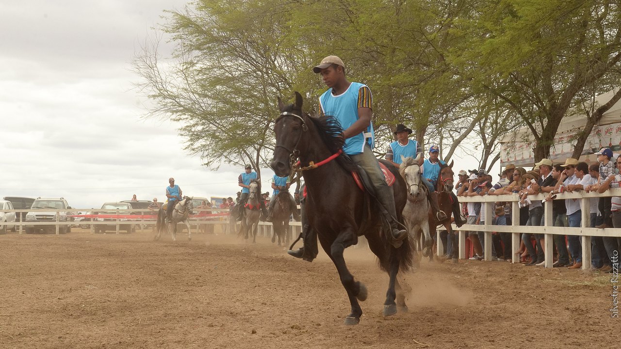 Arapiraca sedia grande evento de mangalarga marchador
