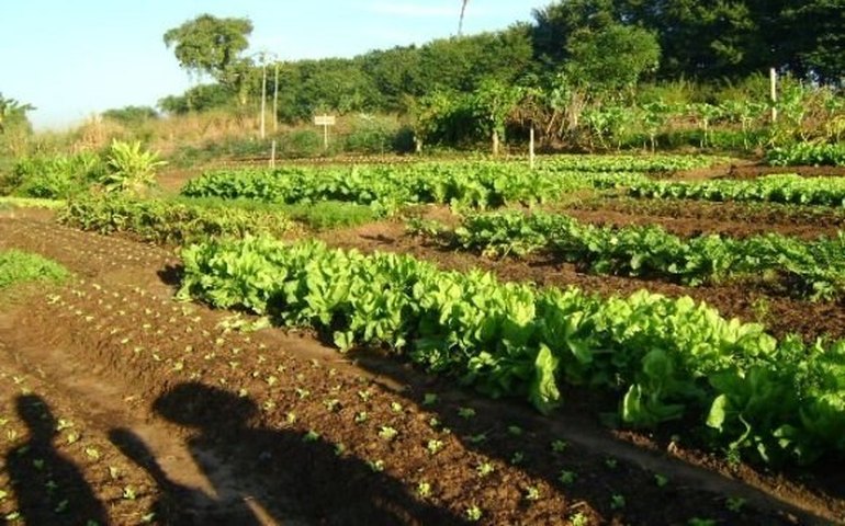 Trabalho de mapeamento dos APLs atinge 50% de conclusão