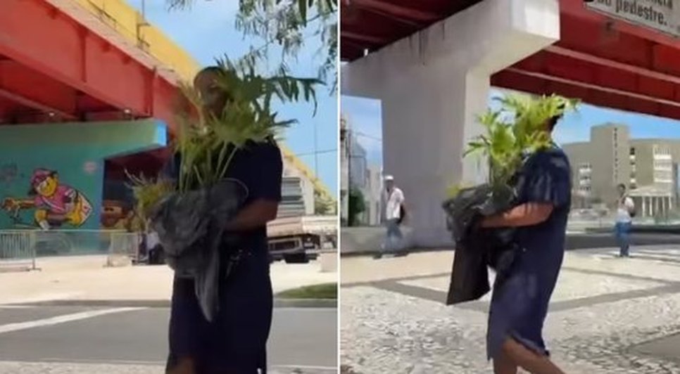 Identificada como Márcia, ela afirmou que recebeu a planta de uma pessoa que trabalhava no local. / Foto: Reprodução 