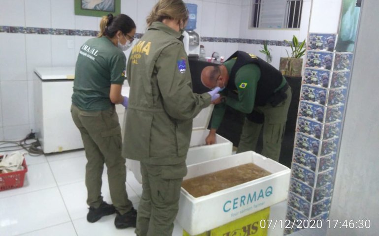 Operação Panulirus: fiscais apreendem mil toneladas de espécies em período de defeso