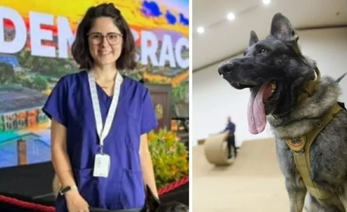 Médica-veterinária foi atacada por um cachorro do Serviço de Cinotecnia do Senado e está internada em estado grave