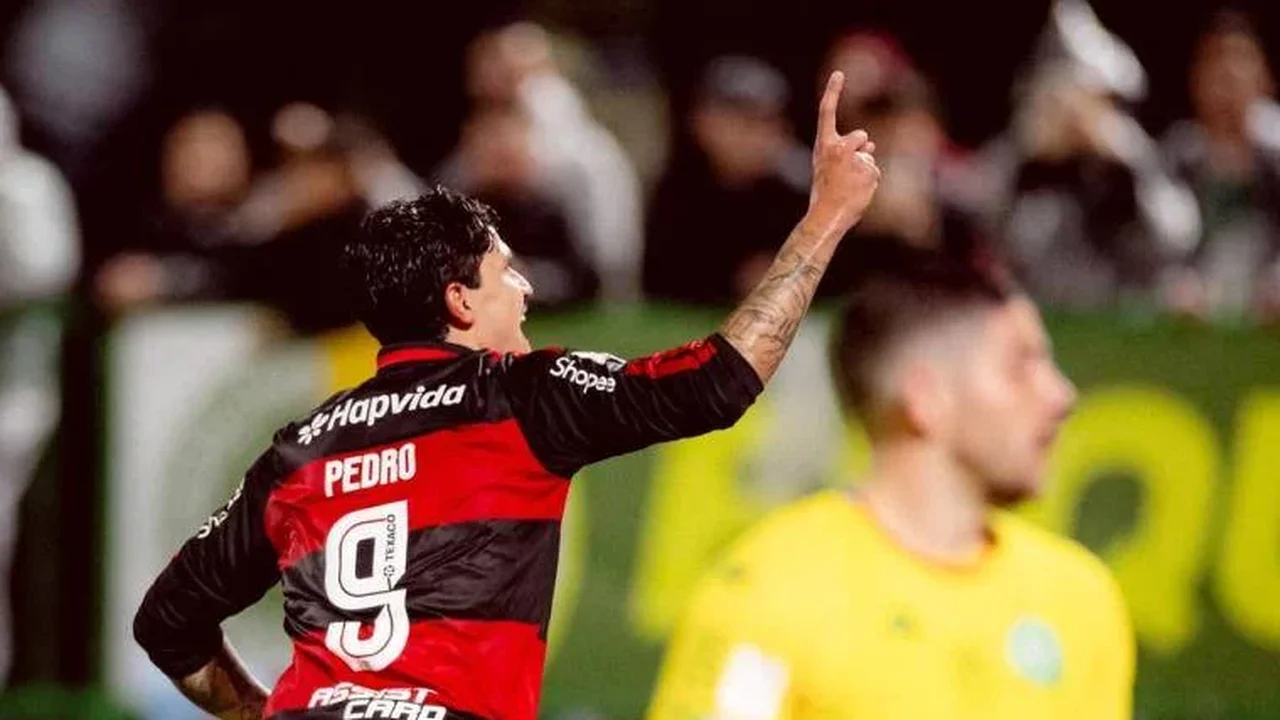 Flamengo goleia a Chapecoense e Pedro brilha como artilheiro
