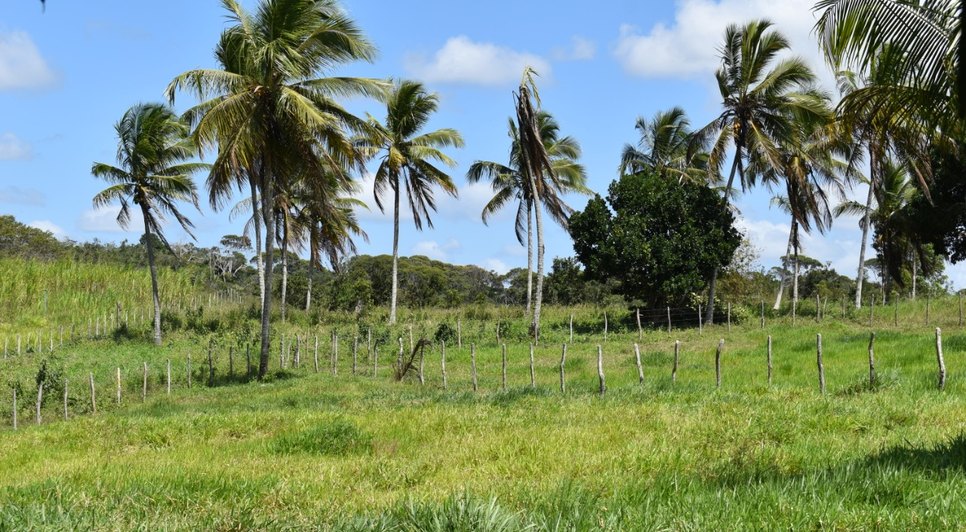 CAMPO