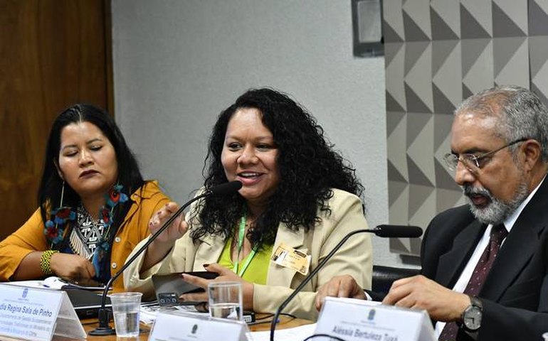 Defensores dos povos indígenas criticam o marco temporal em debate na CDH