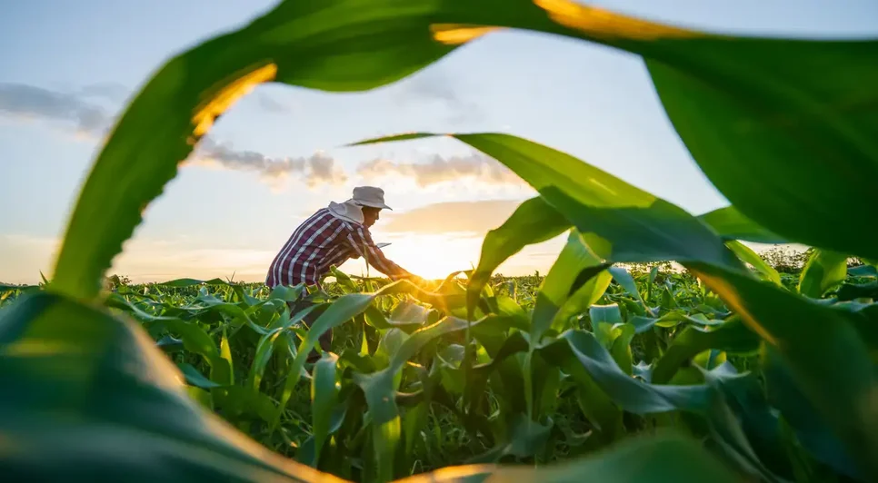adobestock_621171608 / Foto: Foto: attasit_saentep/ Adobe Stock