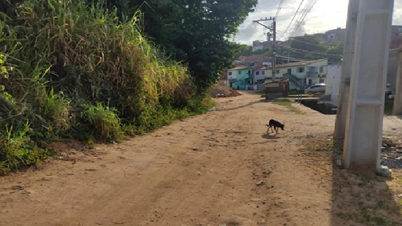 Pavimentação de ruas no bairro de Cruz das Almas é solicitada pelo vereador Aldo Loureiro