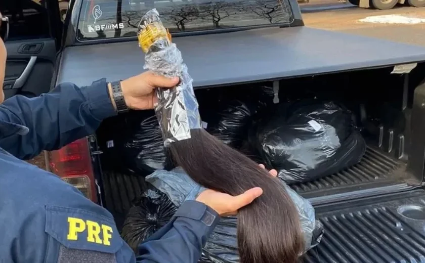 Carga de cabelo humano avaliada em quase R$ 400 mil é apreendida em MS