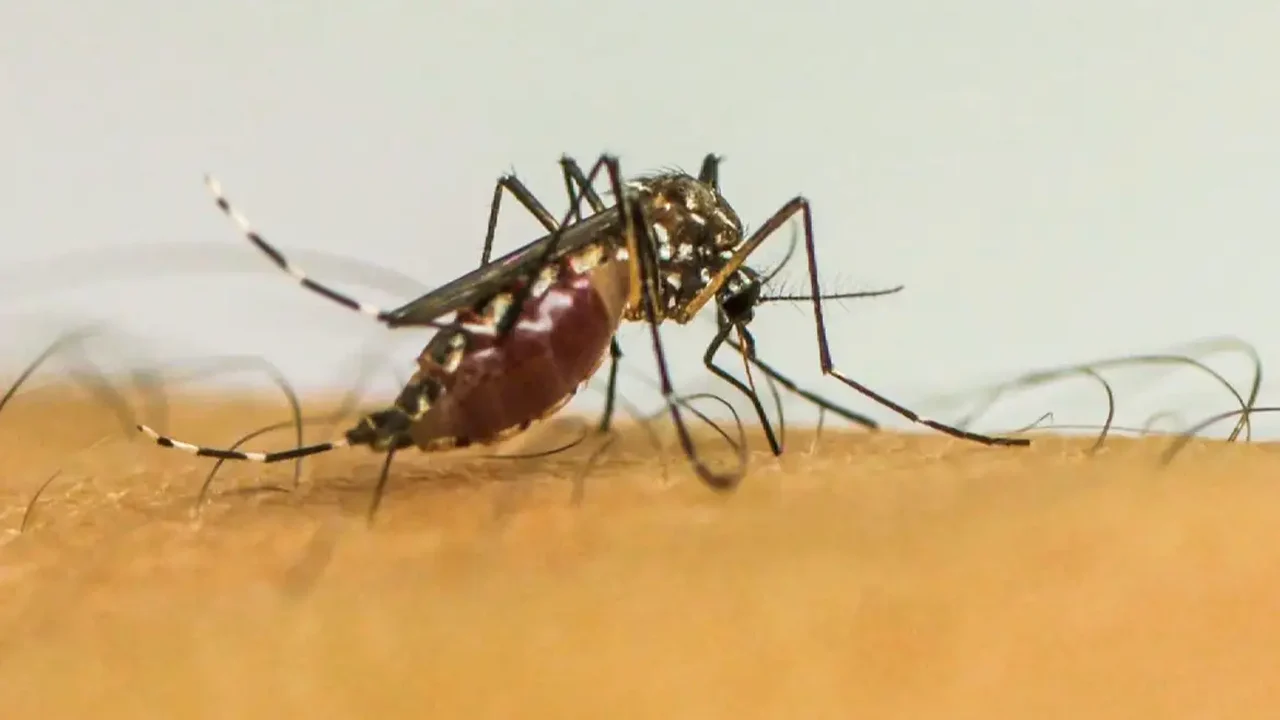 Rio amplia vacinação contra dengue para 10 a 40 anos, até acabar imunizante perto do vencimento