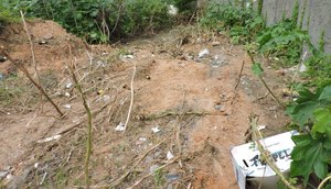 terreno baldio