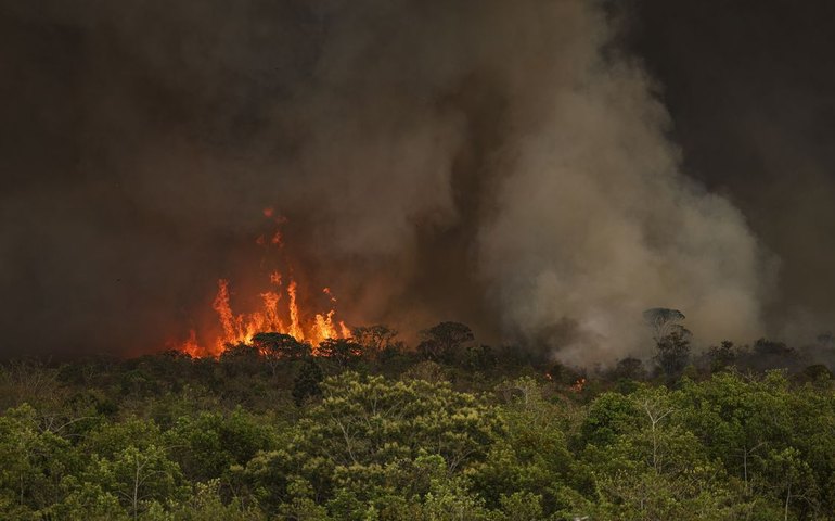 Incêndios podem ter afetado mais de 11 milhões de pessoas no Brasil