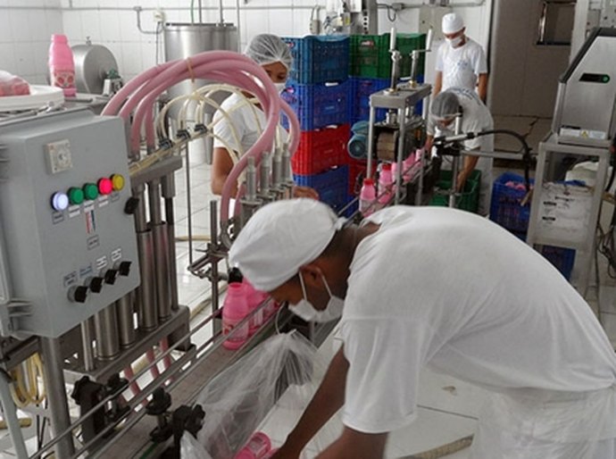 Fábrica de laticínios vai gerar 250 empregos em Murici