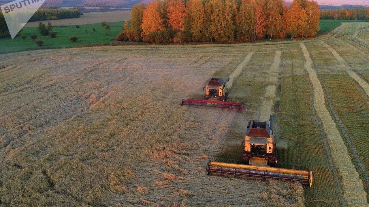 Cresce 6,5 vezes a exportação agrícola russa para América Latina em 2026, Brasil é o maior importador