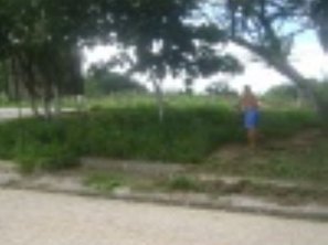 Morador reclamou a ausência do poder público na limpeza do logradouro