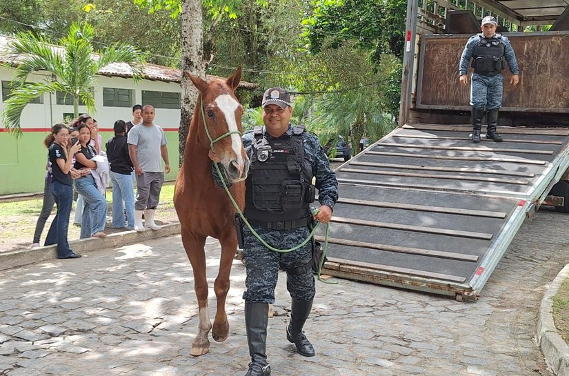 Cavalo da PM-AL é doado ao Ifal para uso em ensino e pesquisa agropecuária