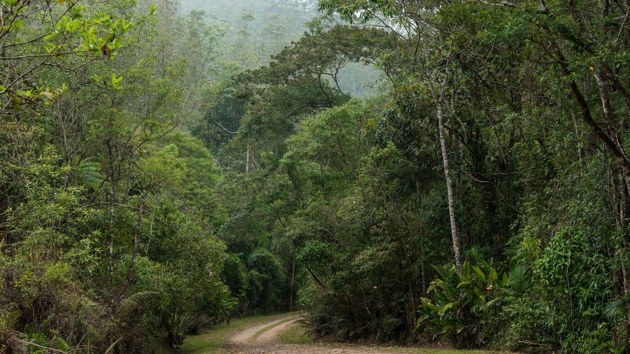 Camping sustentável oferece imersão na Mata Atlântica próximo à capital paulista