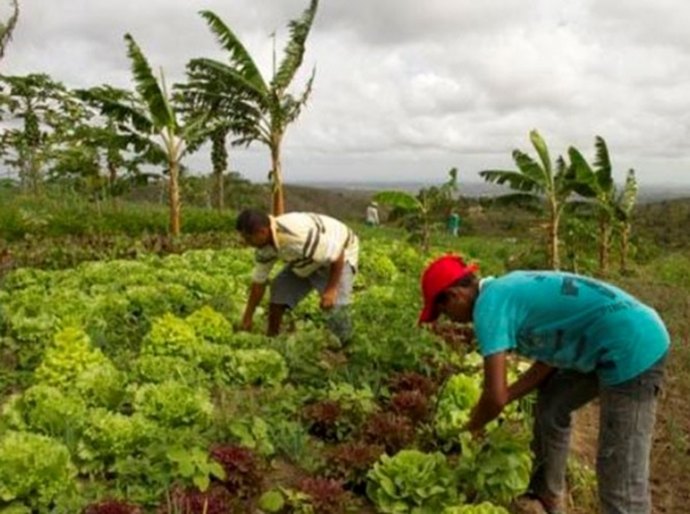 Governo orienta produtores para o cultivo de alimentos livre de agrotóxicos