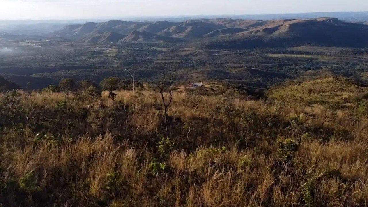 Focos de incêndio no Brasil caem em maio; Cerrado concentra os casos