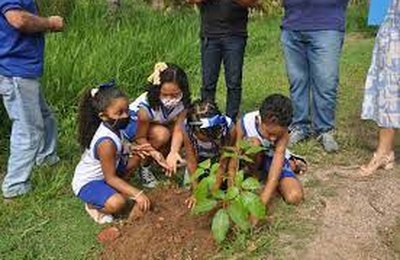 Porto de Pedras cria programa para plantio de 4 mil mudas de árvores nativas