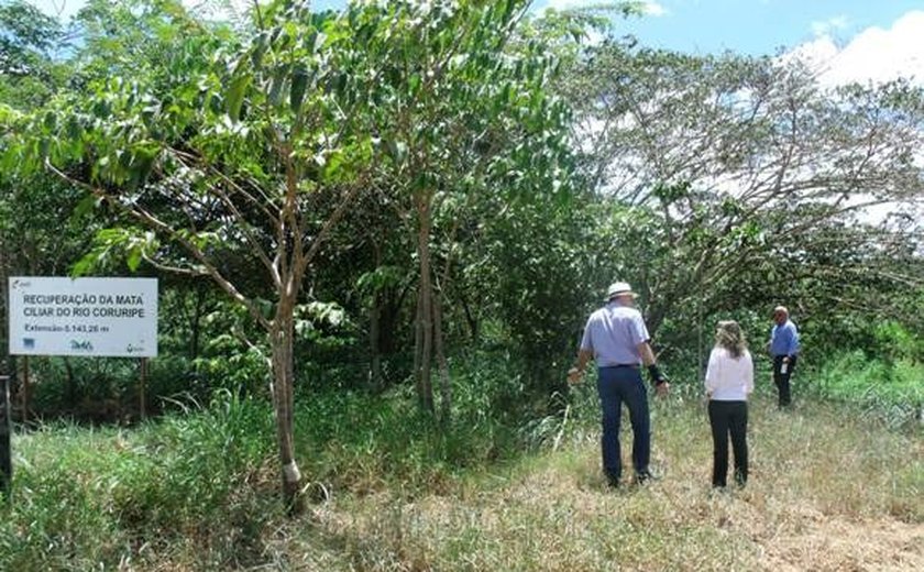 Área de recomposição da mata ciliar é inspecionada pelo IMA e MP