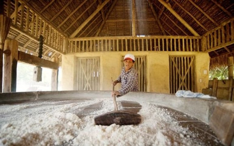 Agência de Fomento quer prioridade em crédito para reabrir casas de farinha