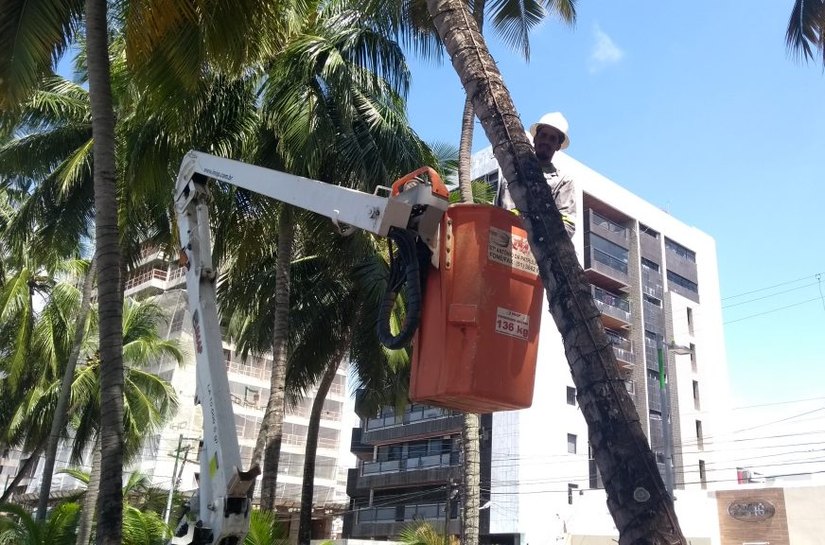 Decoração natalina da capital vai homenagear folguedos alagoanos