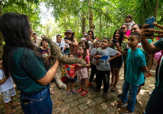 Número de visitantes ao Parque Municipal em 2022 aumenta 43%