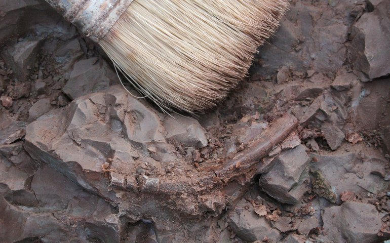 Arqueólogos revelam rituais brutais de guerra há 6 mil anos na França pré-histórica (FOTO)