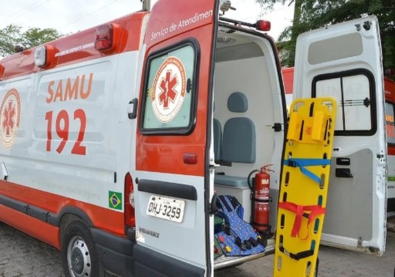 Cachorro solto provoca acidente na AL-220 e deixa motociclista ferida em Arapiraca