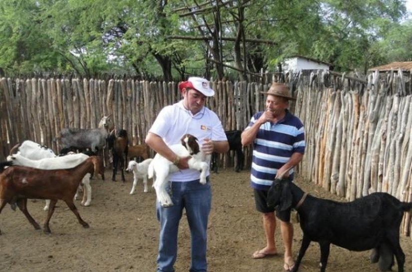 Desenvolve e Ecoterra visa fortalecimento de entes associativos