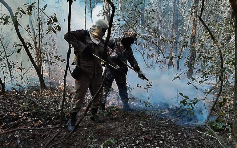 Incêndios queimaram 30% de área do Pantanal em 2020, mostra estudo