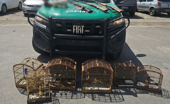 PM-AL apreende animais silvestres e três armas em operação ambiental no Litoral Norte