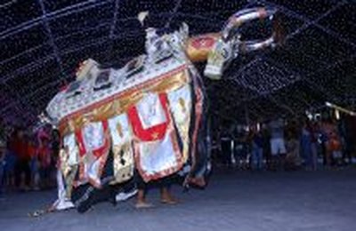 Maceioenses aprovam programação de final de ano da Prefeitura