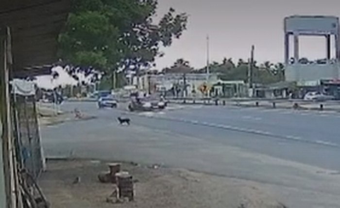 Momento do atropelamento