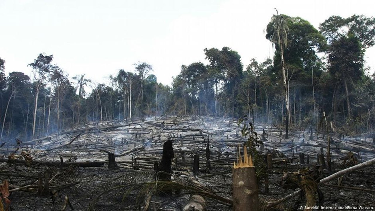 O sofrimento da Amazônia vai continuar em 2020?