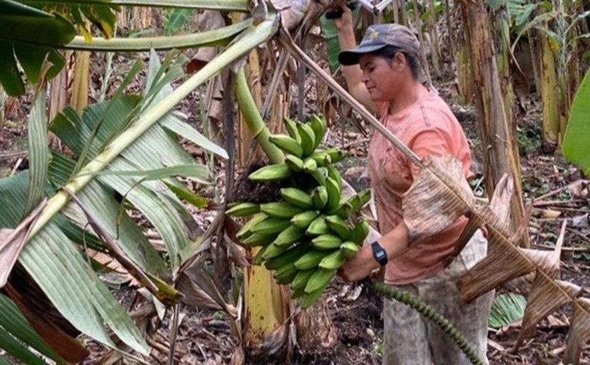 Por meio do apoio da Emater, agricultora aumenta faturamento mensal em 50%