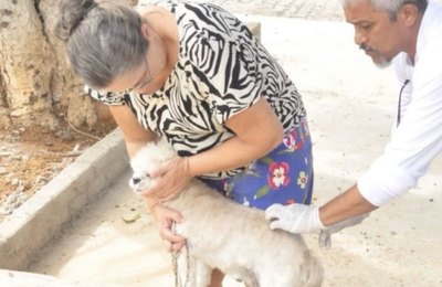 Campanha de vacinação antirrábica começa dia 27 de setembro em Palmeira